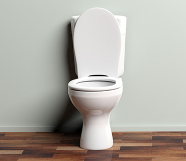 toilet